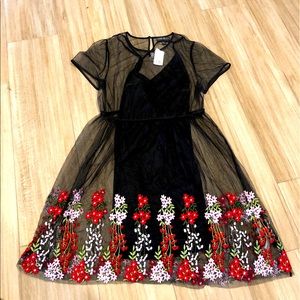 Sheer Knee Length Dress